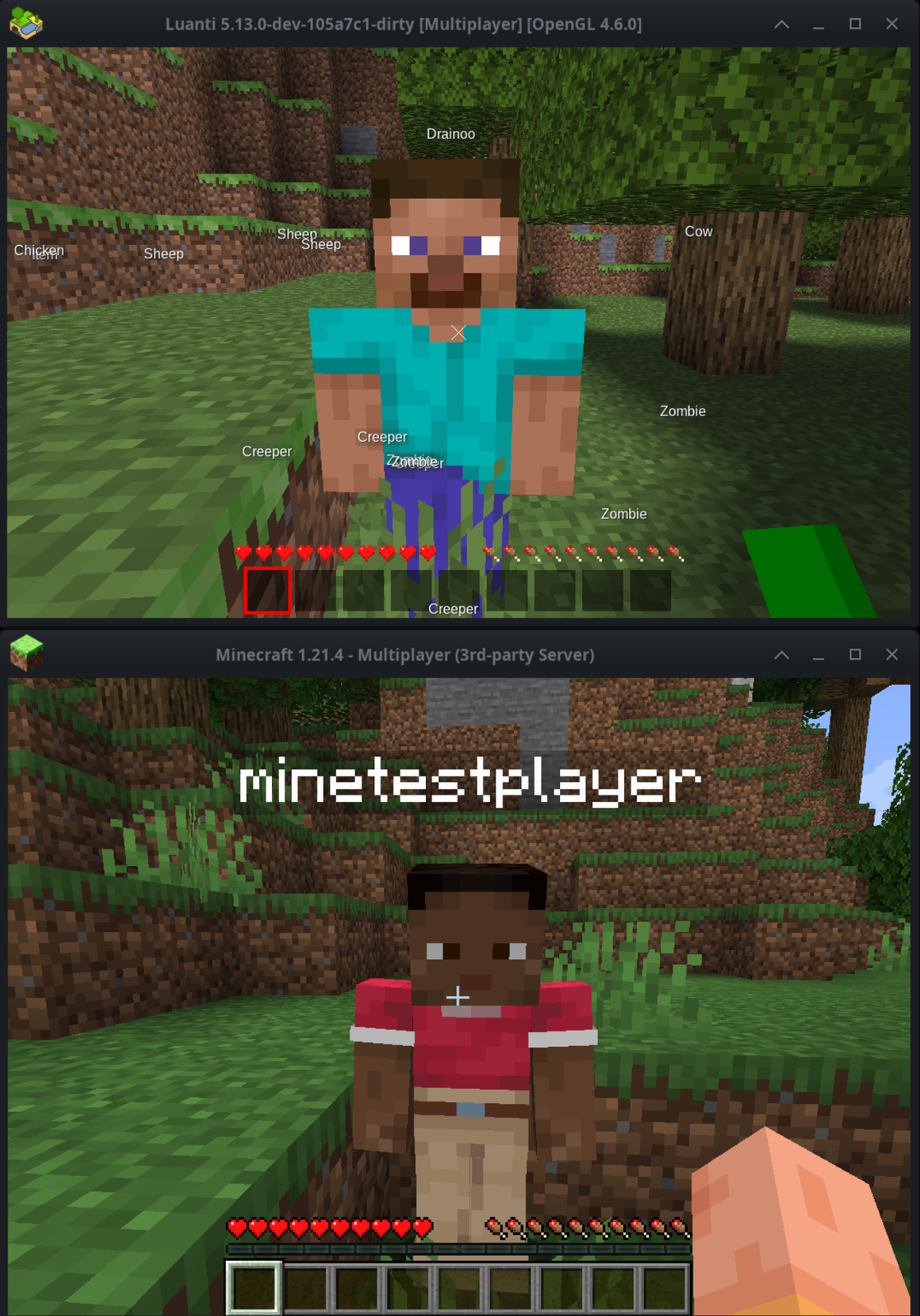 Two Clients, One Server